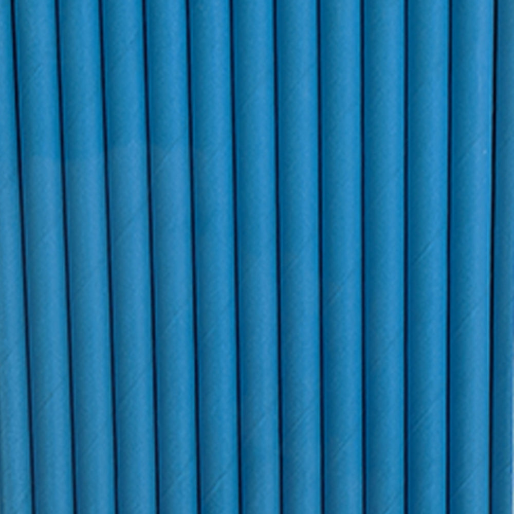 Blue Paper Straws (25 pcs)