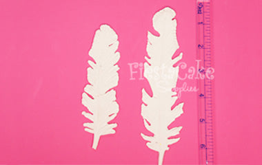D-349 Feather S/2 Md