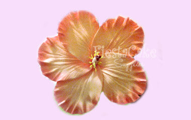 D-438 Hibiscus Lg