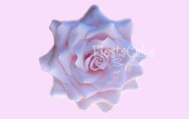 D-605 Rose Petal S/7