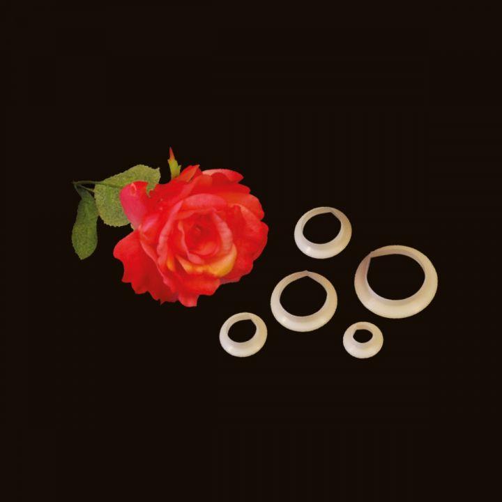 FMM Rose Petal Set of 5 Cutters